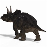 Diceratops DAZ 06A_0001